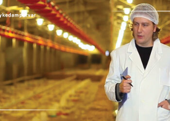 بیماری طیور نیوکاسل