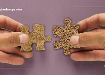 زنجیره صنعت خوراک دام، طیور و آبزیان