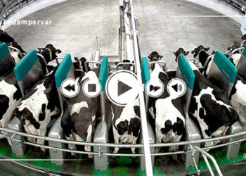 شیردوش رباتیک روتاری