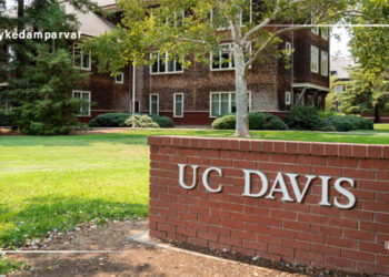دانشگاه کالیفرنیا، دیویس