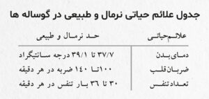 علائم حیاتی گوساله
