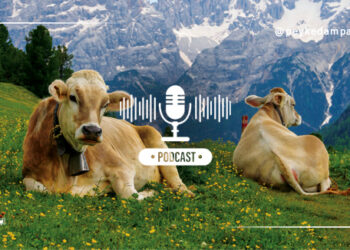 عوامل موثر بر پایداری ویتامین در خوراک دام