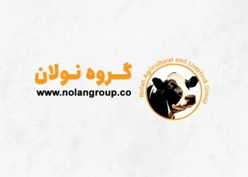 گروه نولان