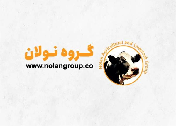 گروه نولان